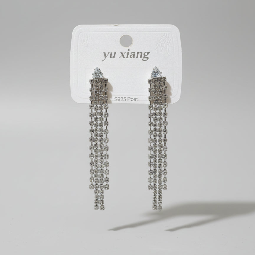 Iced Silver earrings